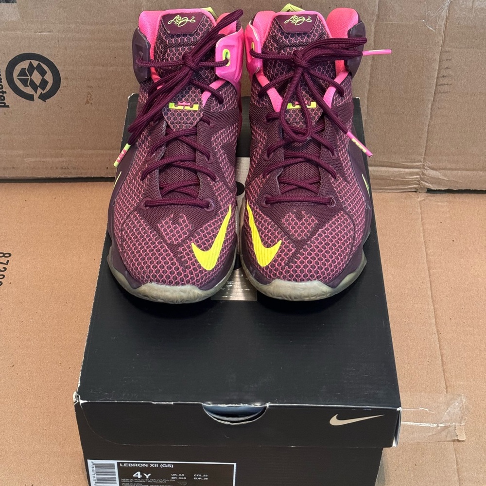 Nike Lebron 12 GS